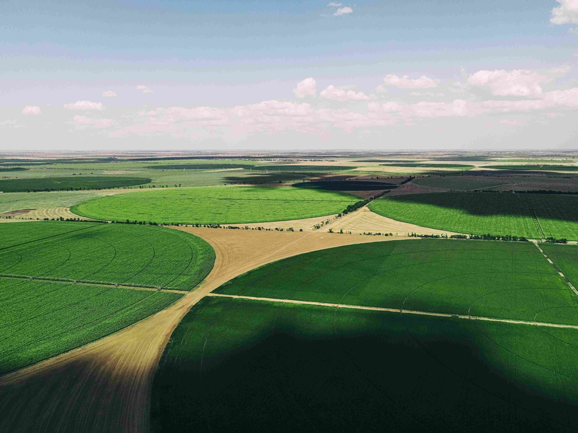 Why Vertical Integration Is Becoming the Defining Strategy for Modern Agribusiness