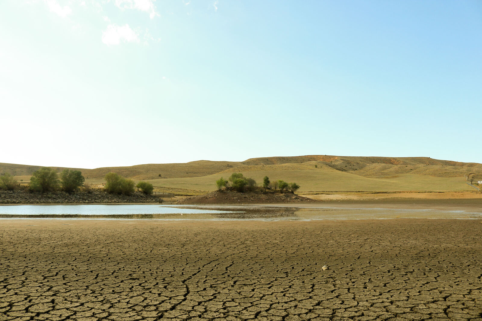 California's Water Challenge: Why the Future of Infrastructure Depends on Smarter Irrigation Systems